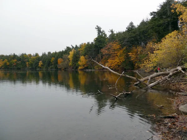 Herfstlandschap Met Kleurrijke Bomen Water — Stockfoto