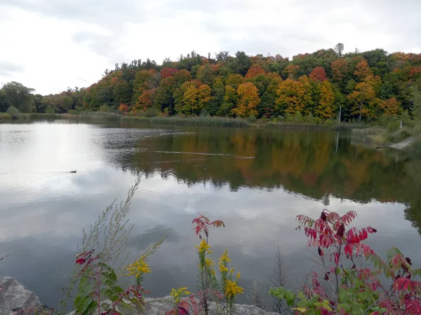 Fall Landscape Colorful Trees — Stock Photo, Image