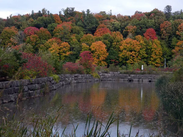 カラフルな木々や湖と秋の風景 — ストック写真