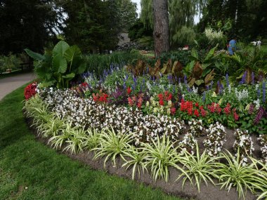 Çiçeklerle kaplı yaz manzarası