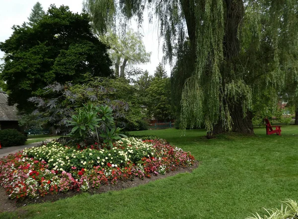 Paesaggio Estivo Con Fiori Aiuola — Foto Stock