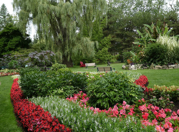 Summer landscape with flowers on flower bed