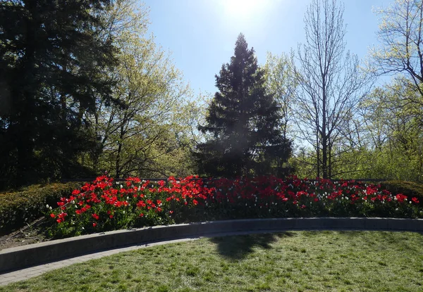 Parque Regular Com Canteiro Flores — Fotografia de Stock