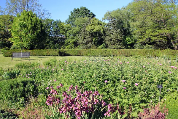 伯灵顿的湖边花园 有花坛 — 图库照片