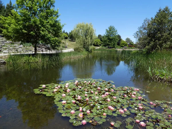 Landschaft Des Regulären Parks Mit Teich — Stockfoto