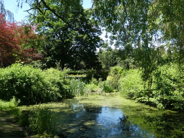 设有池塘的公园景观 — 图库照片