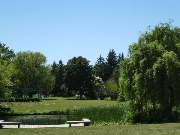 Landschap Van Regelmatig Park Met Vijver — Stockfoto