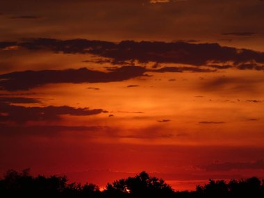 Gün doğumunda renkli bulutlarla gökyüzü