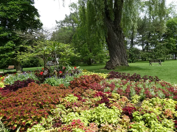 花壇のある公園の風景 — ストック写真