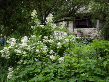Park 'ın çiçek tarhlı manzarası