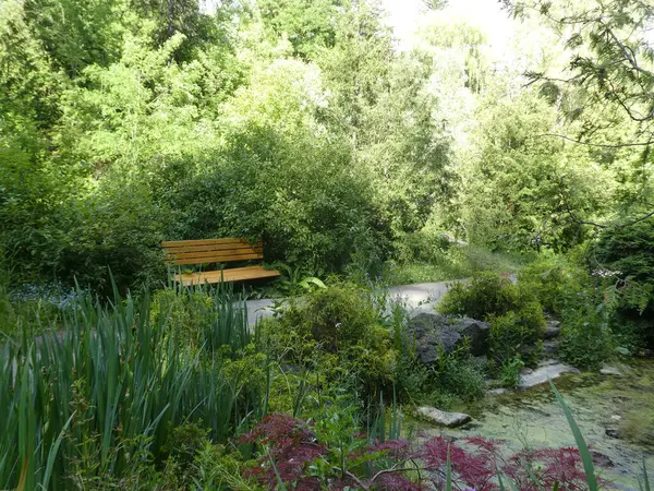 公园的花坛景观 — 图库照片