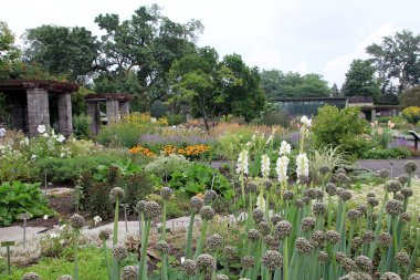 Montreal, Kanada 'da botanik bahçesi