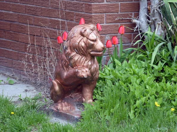 Lion Sculpture Decoration Front Yard — Stockfoto