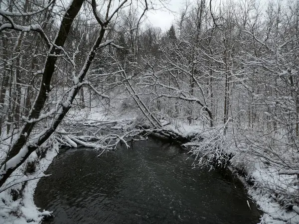 Paysage Hivernal Avec Rivière Forêt Couvert Neige — Photo