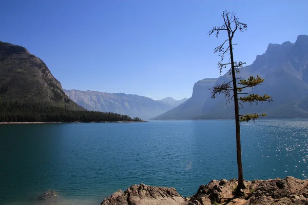 Minnevanka Lake — Stockfoto