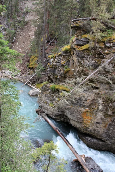 De rivier in canyon — Stockfoto