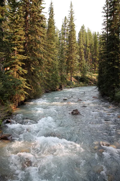 O rio em Canyon — Fotografia de Stock