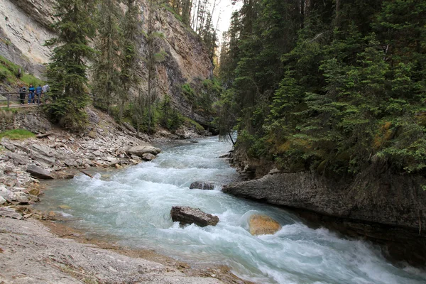 El río en el cañón — Foto de Stock