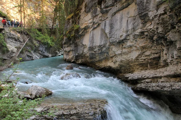 Der Fluss in der Schlucht — Stockfoto