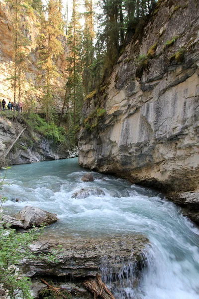 La rivière dans le Canyon — Photo