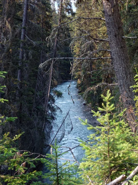 Cascade dans le canyon — Photo