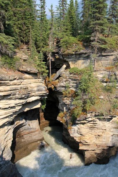 Wasserfall — Stockfoto