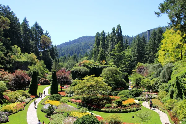 Vista do jardim — Fotografia de Stock