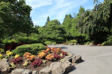 Vancouver park