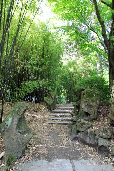 Jardín chino — Foto de Stock