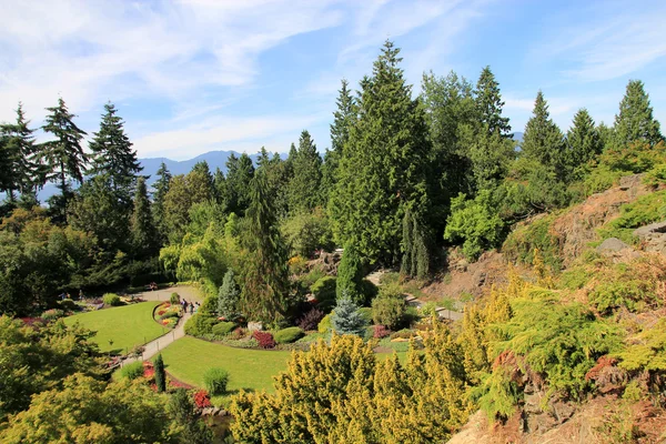 Il parco di Vancouver — Foto Stock