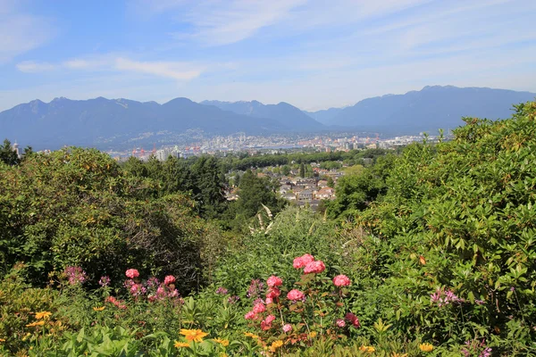 The park in Vancouver — Stock Photo, Image