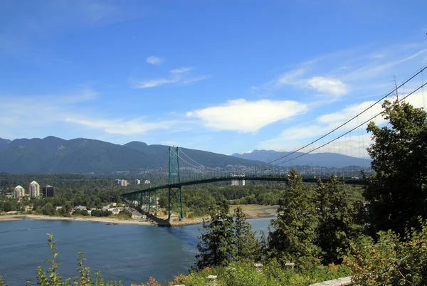 Lions Gate Bridge — Stok fotoğraf