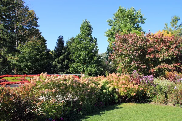 Jardim florescente — Fotografia de Stock