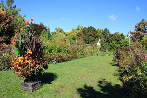 Jesienny ogród — Zdjęcie stockowe