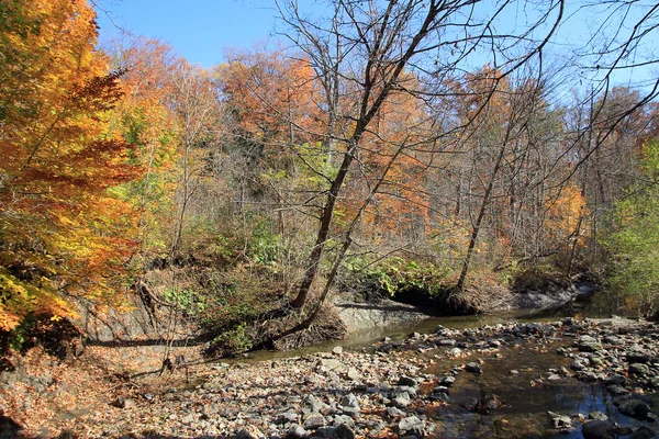 Fall Landscape — Stock Photo, Image