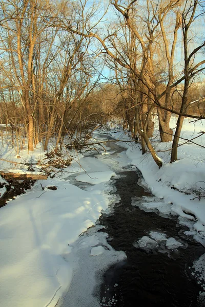 Rivière gelée — Photo