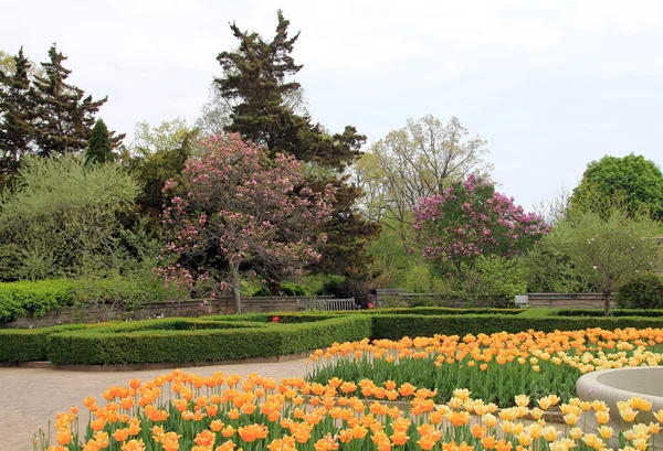 Giardino fiorito — Foto Stock