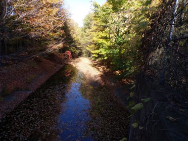Nehirle birlikte parkta sonbahar manzarası
