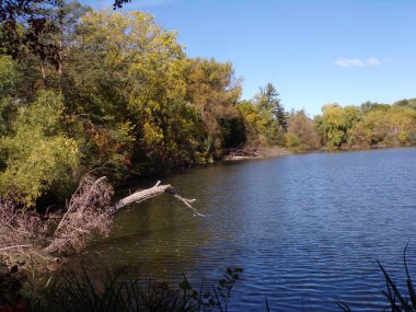 Fall landscape with lake in the park