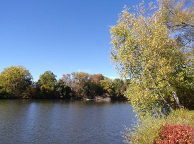 Fall landscape with lake in the park