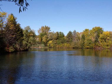 Fall landscape with lake in the park