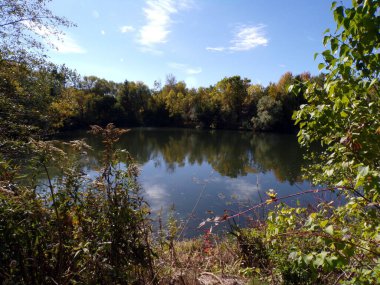 Fall landscape with lake in the park