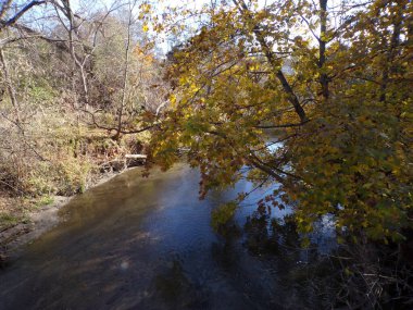  Renkli ağaçlar ve nehirlerle sonbahar manzarası