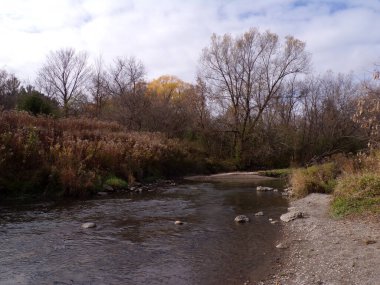  Renkli ağaçlar ve nehirlerle sonbahar manzarası
