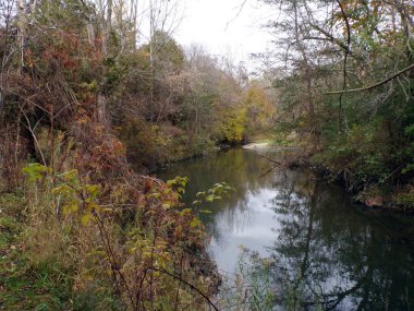  Renkli ağaçlar ve nehirlerle sonbahar manzarası