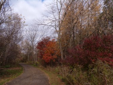  Renkli ağaçlarla sonbahar manzarası 