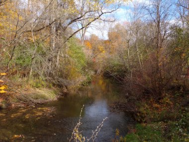  Renkli ağaçlar ve nehirlerle sonbahar manzarası
