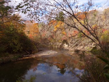  Renkli ağaçlar ve nehirlerle sonbahar manzarası