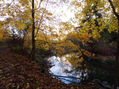  Renkli ağaçlar ve nehirlerle sonbahar manzarası