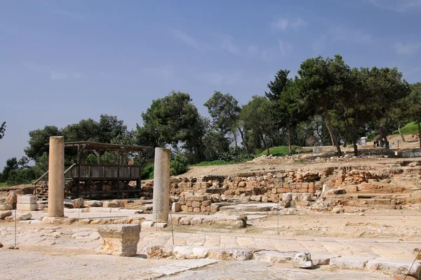 National park in Israel — Stock Photo, Image